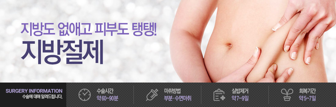 지방절제
