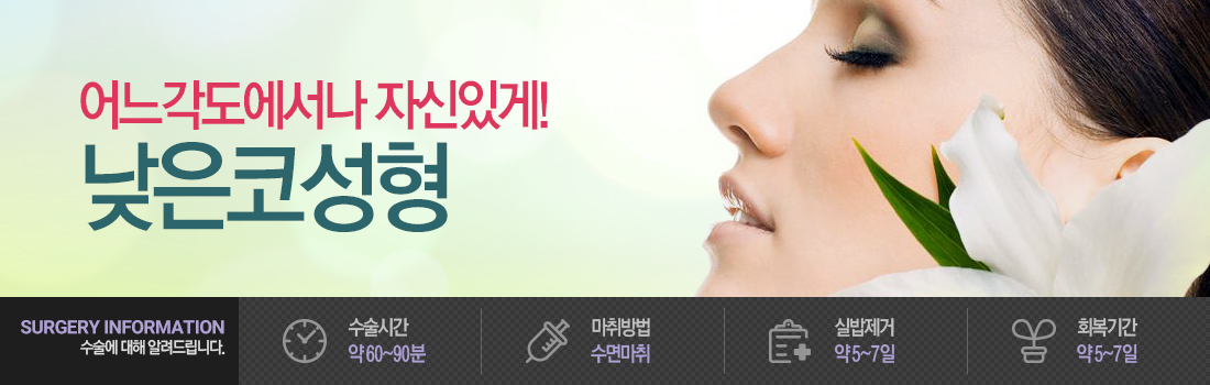 낮은코성형