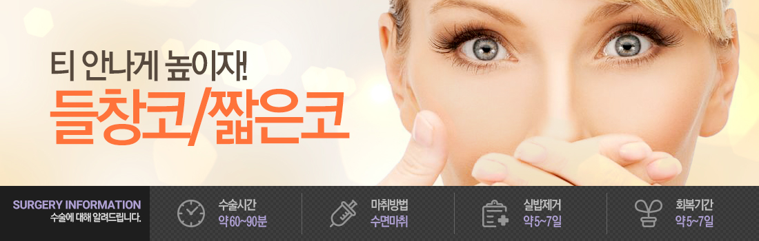 들창코/짧은코